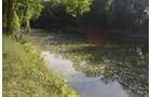 Property photo 27 - REAL ESTATE AUCTION - 26+/- ACRES IN 3 TRACTS IN SOUTHWEST ALLEN COUNTY, INDIANA